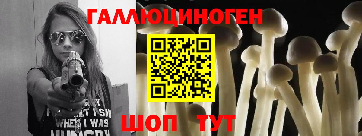 Псилоцибиновые грибы GOLDEN TEACHER  Псилоцибиновые грибы мухоморы  Грозный  Вход с VPN 